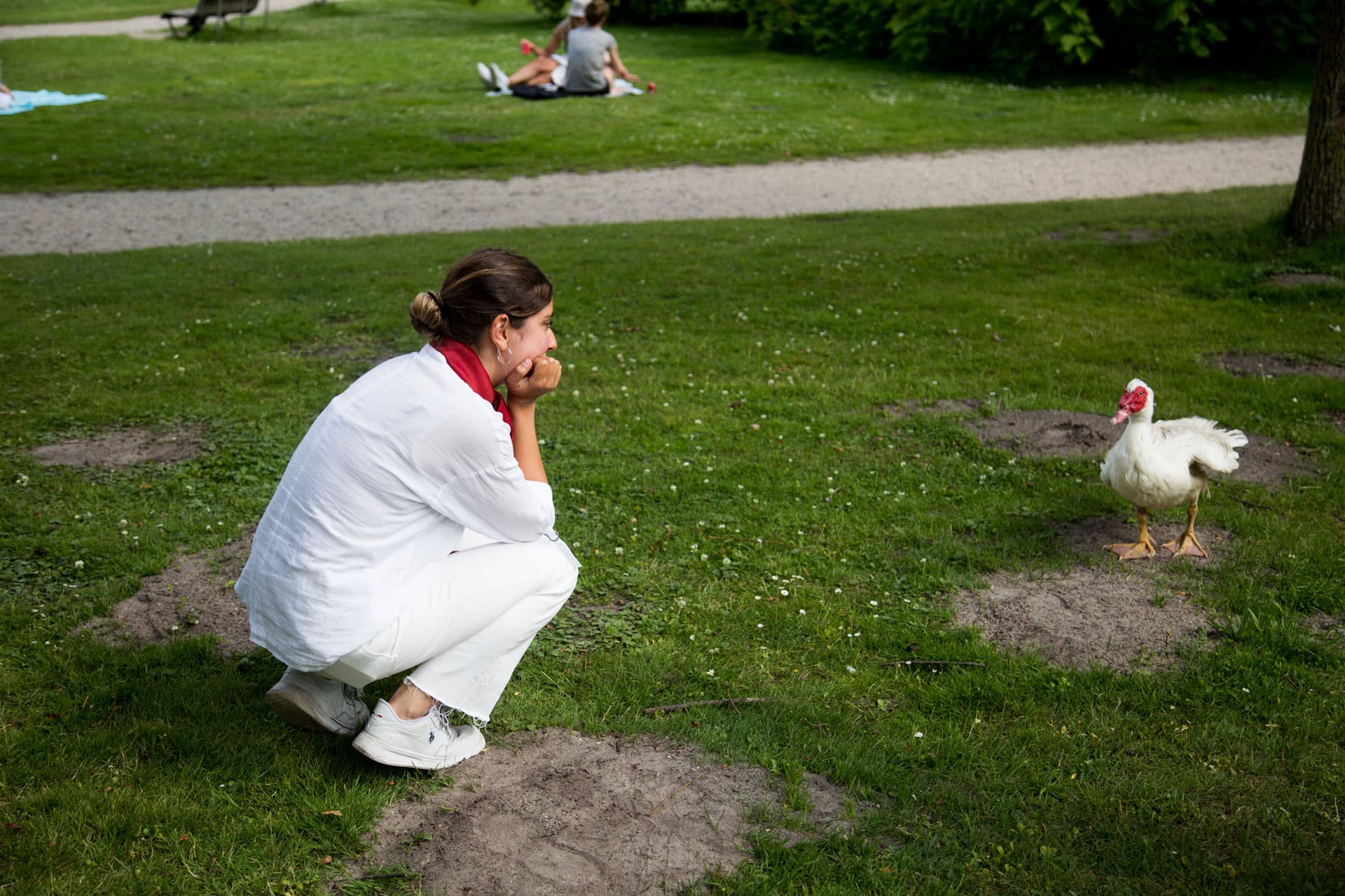 Duck Encounters — 1