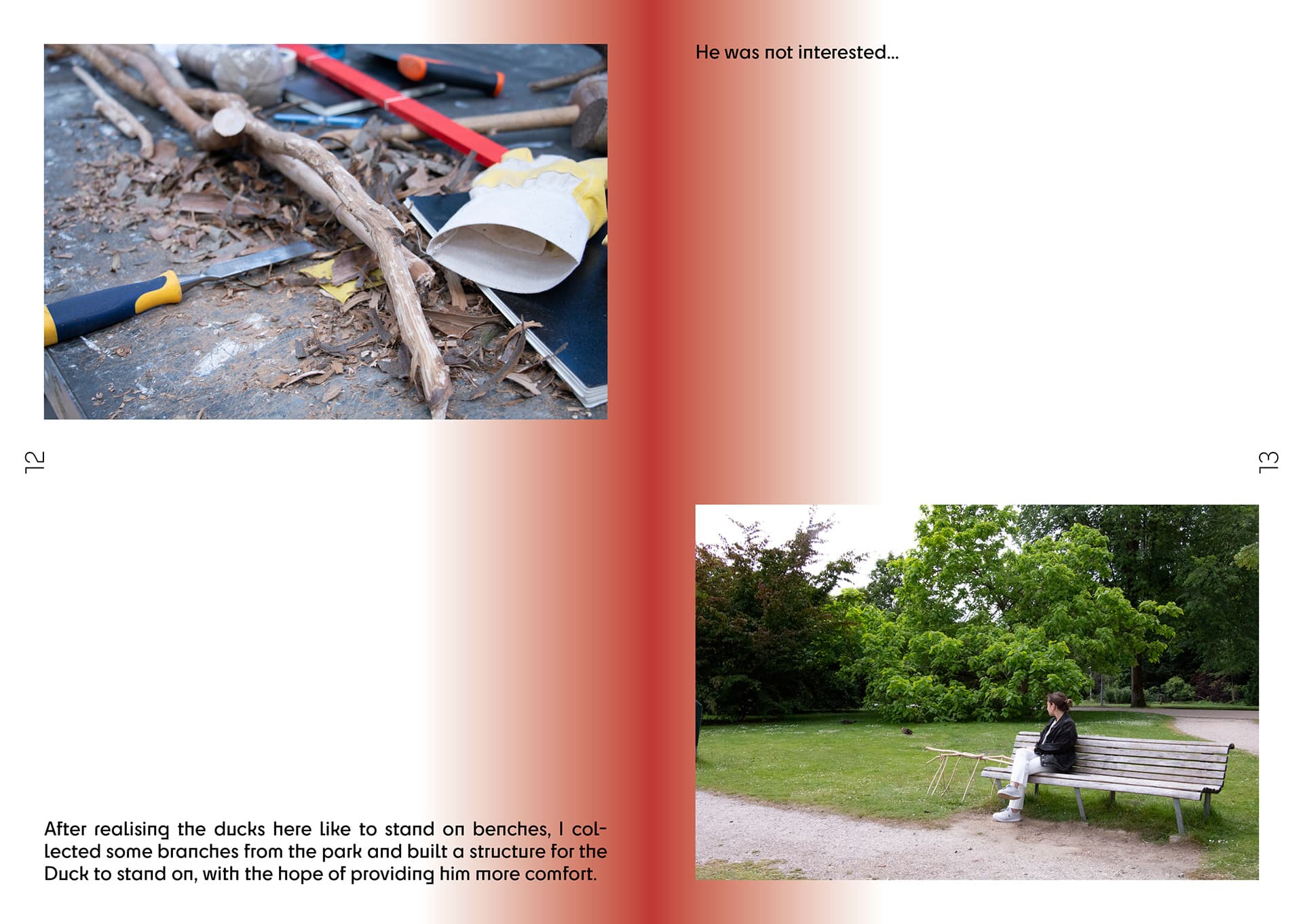 Duck Encounters — 4