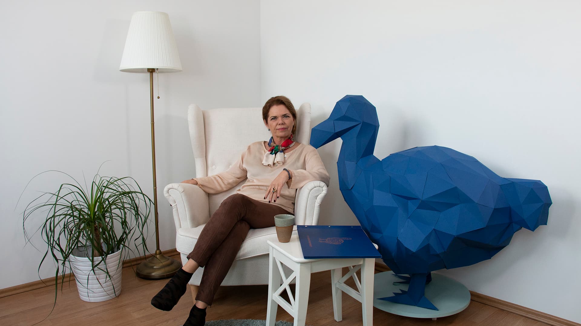 Dodo in the Room