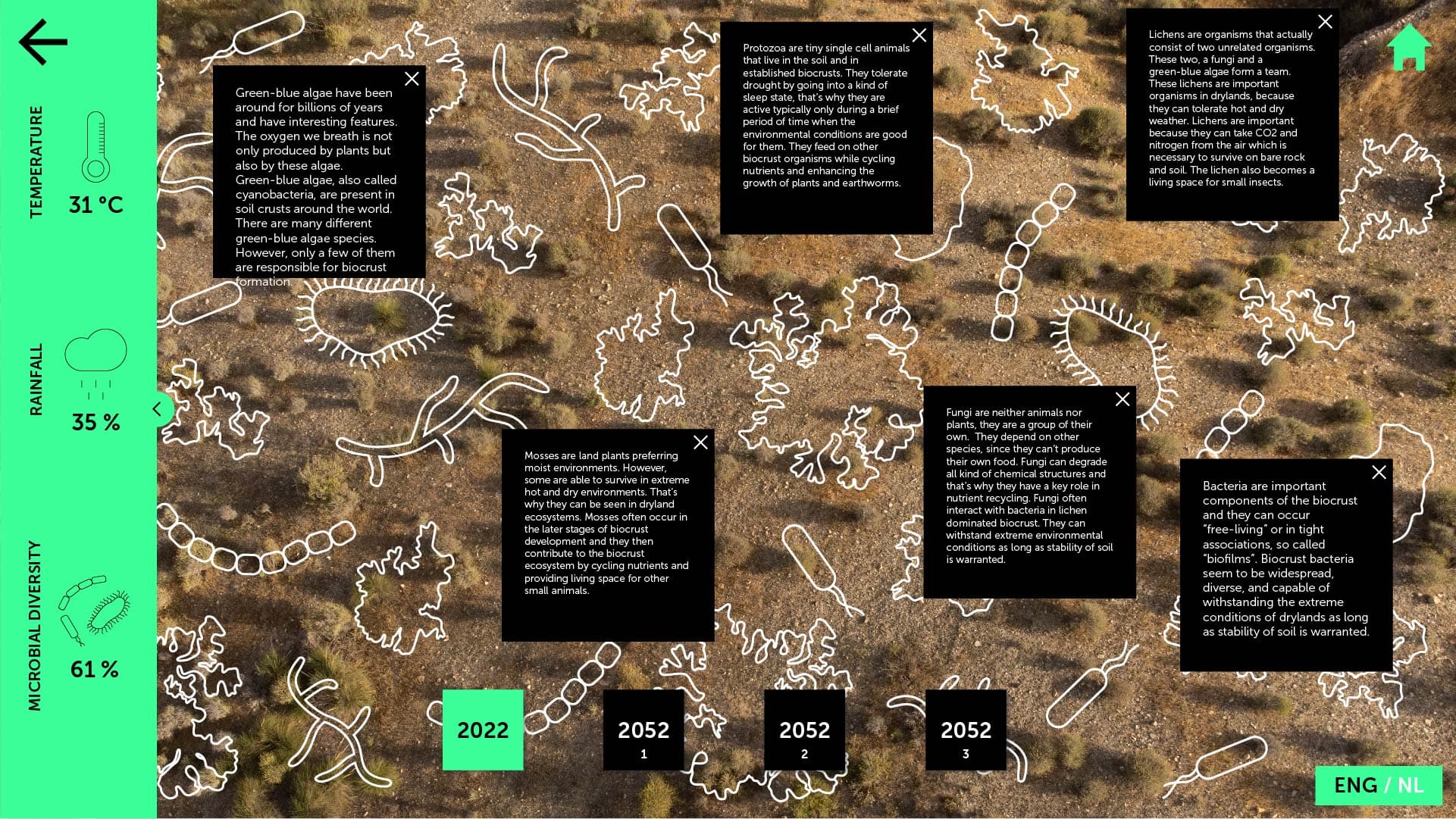 Dryland Projections — 8